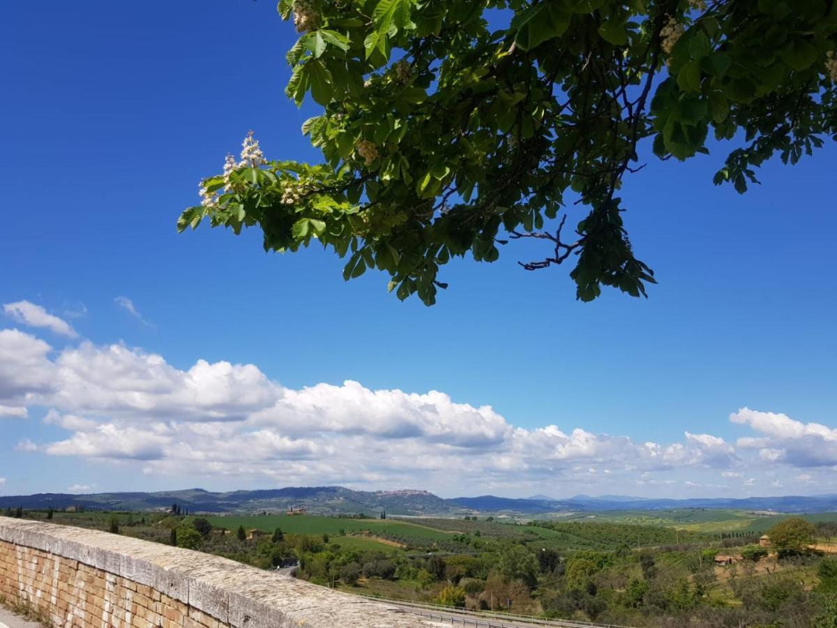 Casa Per L'Osticcio Vista Sulla Val D'Orcia Apartment Montalcino Exterior photo